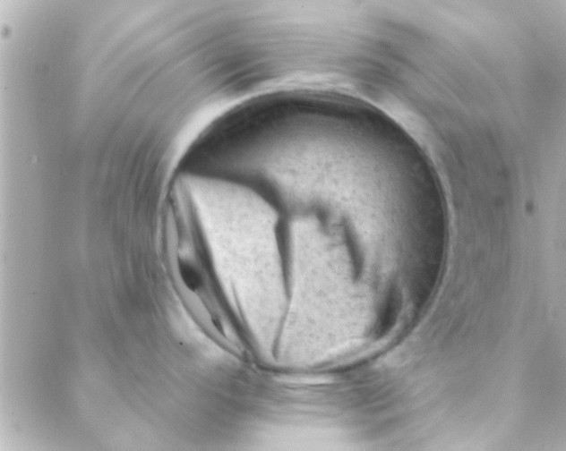 X0000088651296200706151958