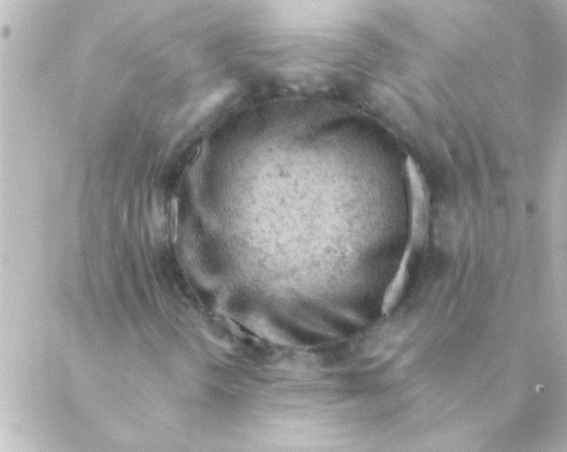 X0000088651298200706151957