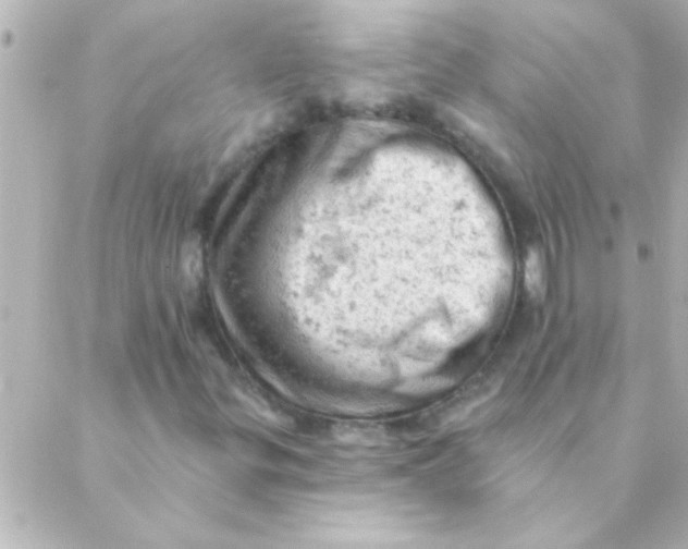 X0000088651299200706151957