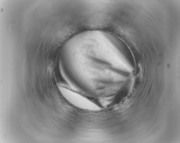 X0000088651300200706151957