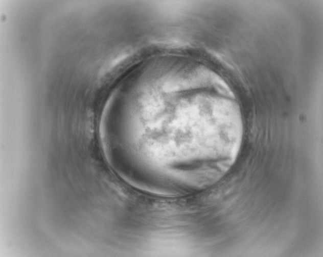 X0000088651301200706151957