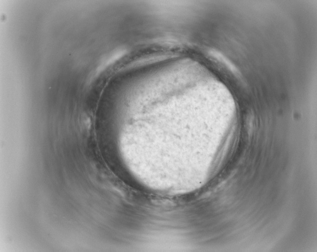 X0000088651302200706151957