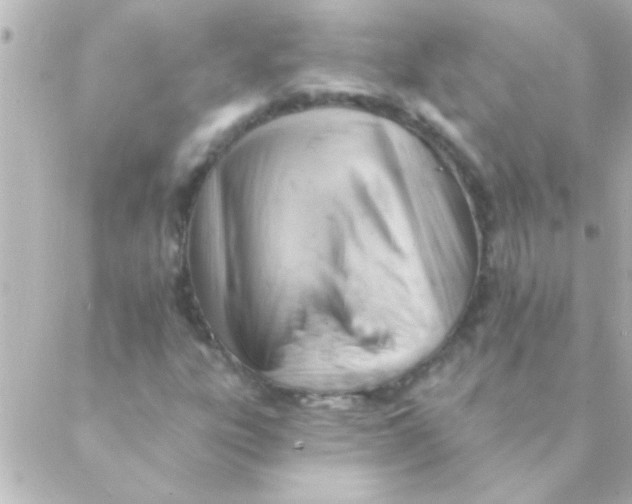 X0000088651303200706151957