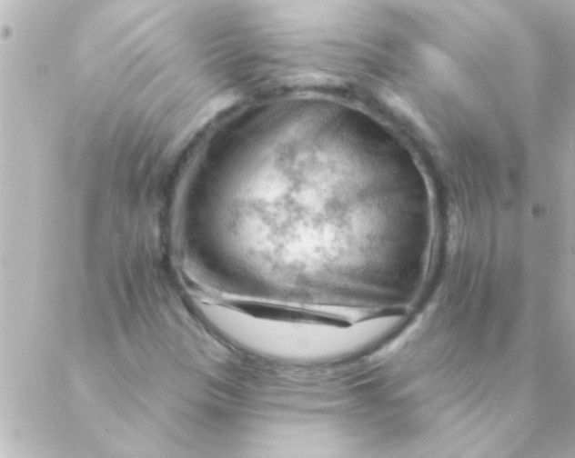 X0000088651305200706151957