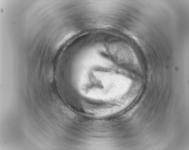 X0000088651306200706151957