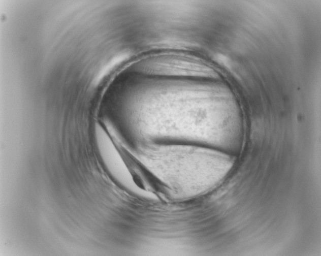 X0000088651307200706151957