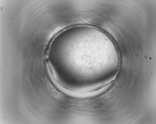 X0000088651308200706151957