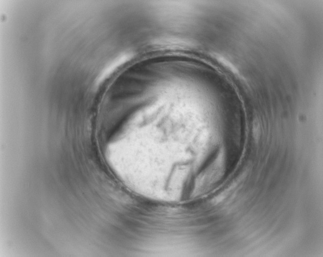 X0000088651309200706151957