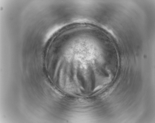 X0000088651311200706151957