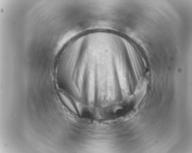 X0000088651312200706151957