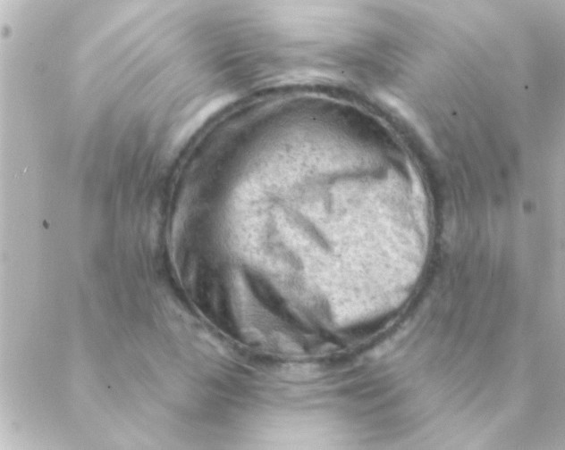 X0000088651313200706151957