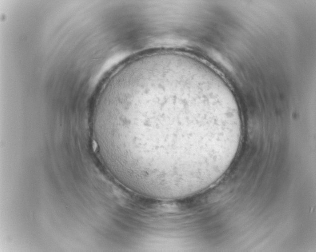 X0000088651315200706151957