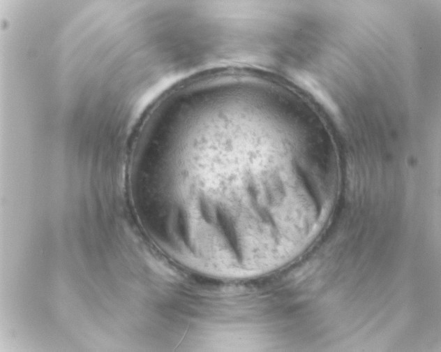 X0000088651316200706151957