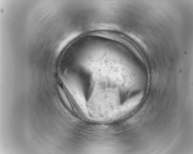 X0000088651317200706151957