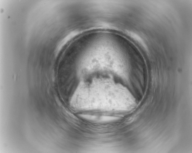 X0000088651318200706151957