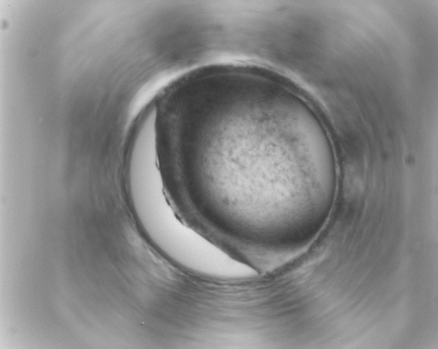 X0000088651319200706151957