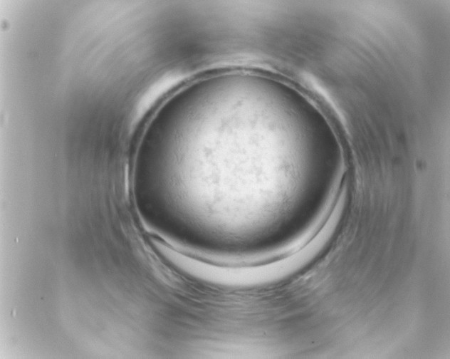 X0000088651320200706151957