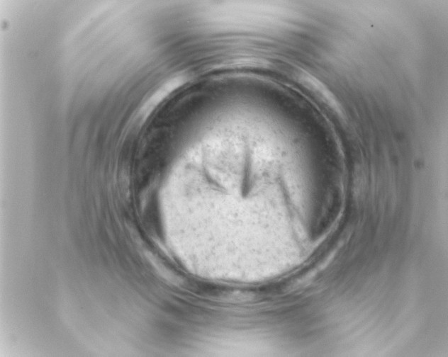 X0000088651321200706151957