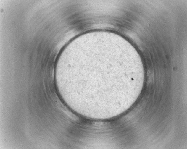 X0000088651322200706151958