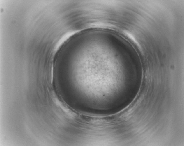 X0000088651323200706151958