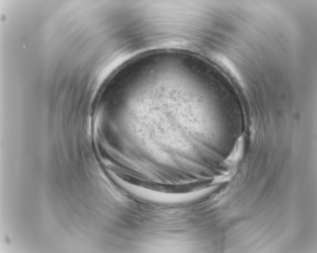 X0000088651324200706151958