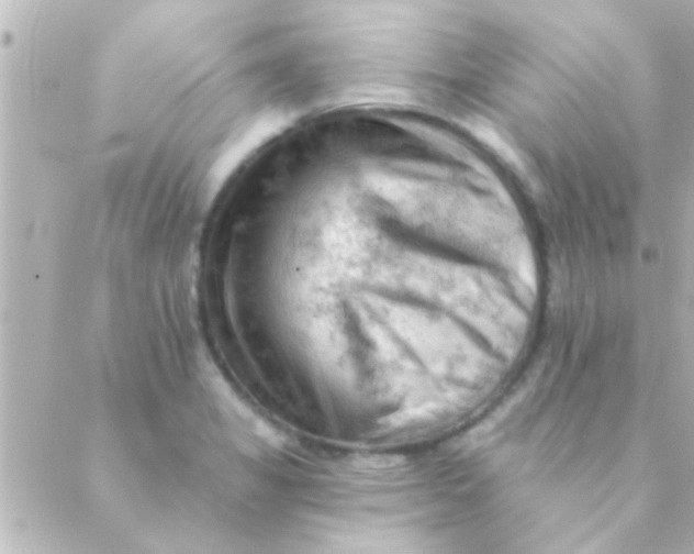 X0000088651325200706151958