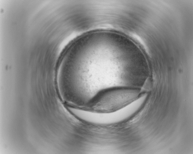 X0000088651326200706151958