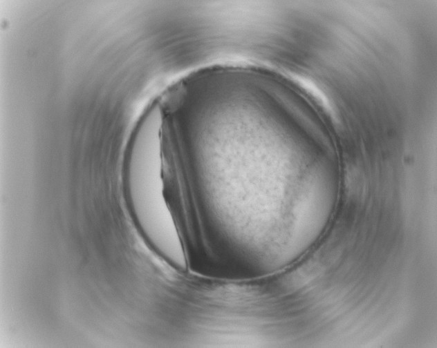 X0000088651327200706151958