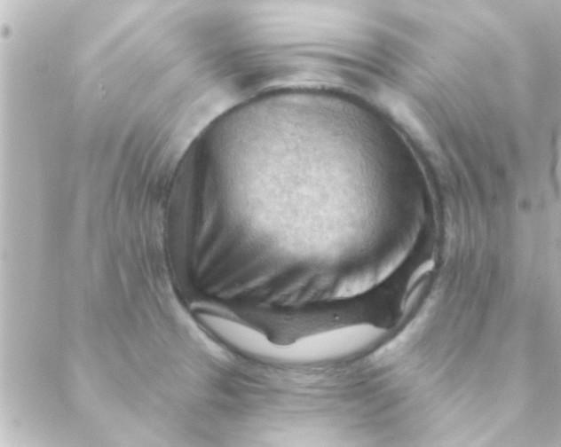 X0000088651329200706151958