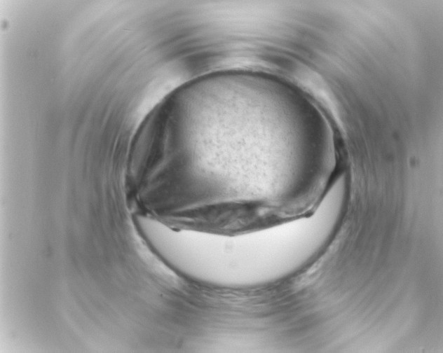 X0000088651330200706151958