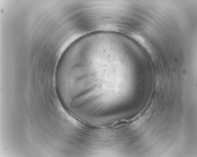 X0000088651331200706151958