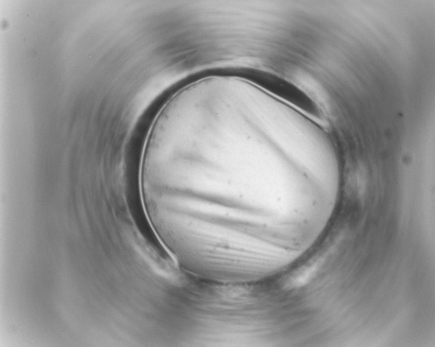 X0000088651332200706151958