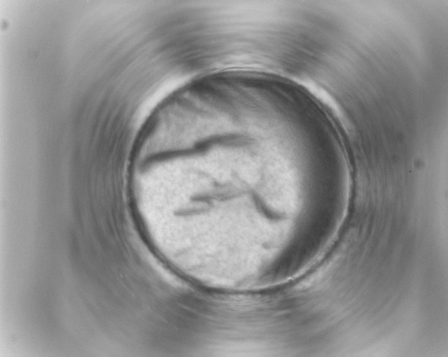 X0000088651333200706151958