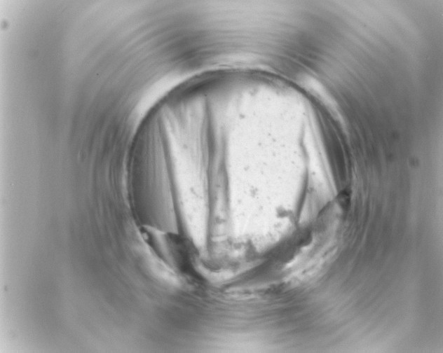 X0000088651336200706151958