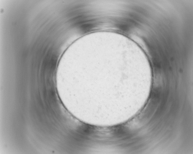 X0000088651338200706151958