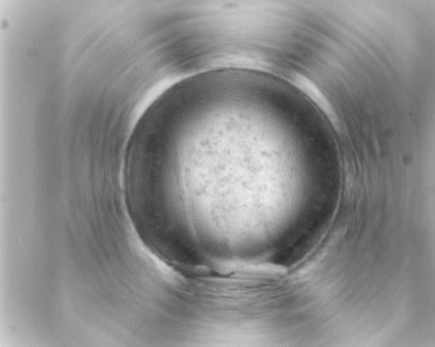 X0000088651339200706151958