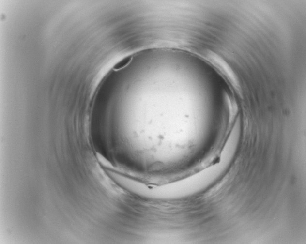 X0000088651340200706151958