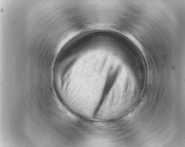 X0000088651341200706151958