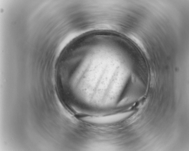 X0000088651342200706151958