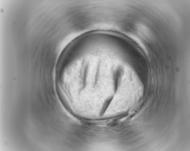 X0000088651343200706151958