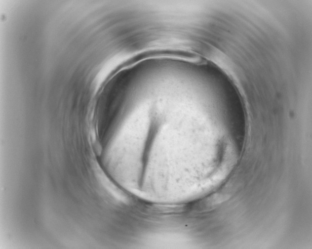 X0000088651344200706151958