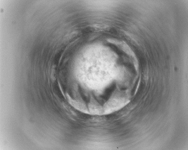 X0000088651346200706151957