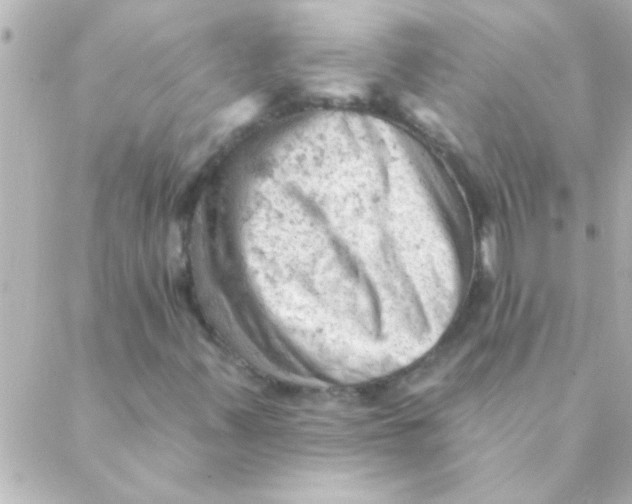 X0000088651347200706151957