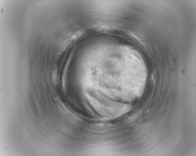 X0000088651348200706151957