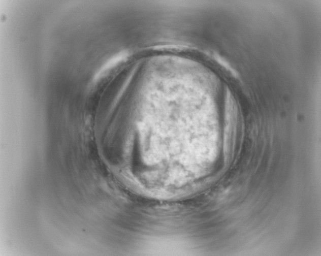 X0000088651351200706151957