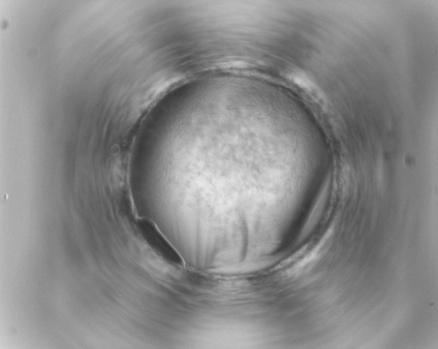 X0000088651353200706151957