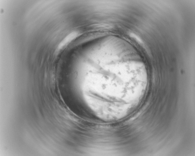 X0000088651354200706151957