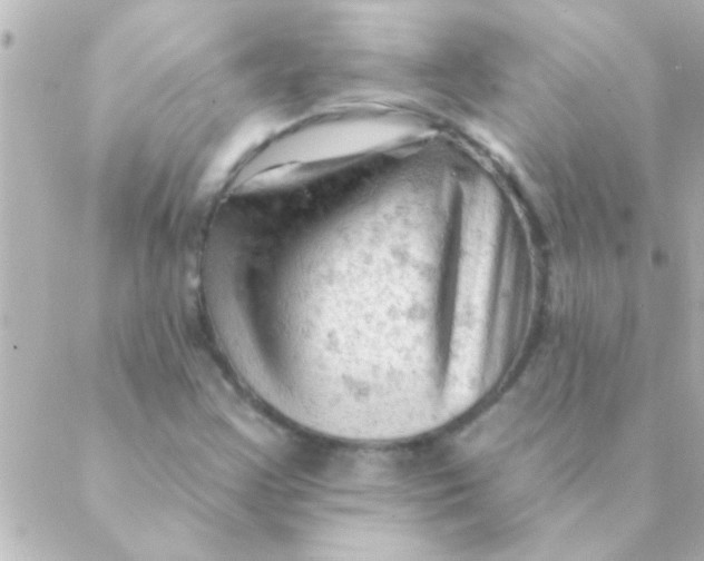 X0000088651355200706151957