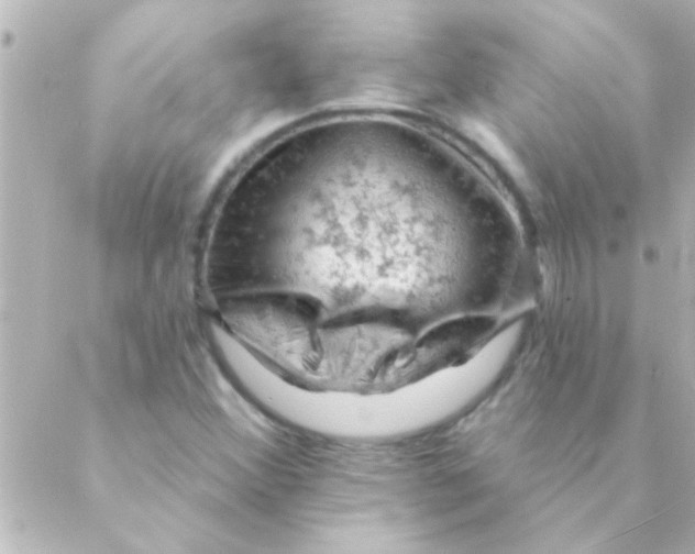 X0000088651356200706151957