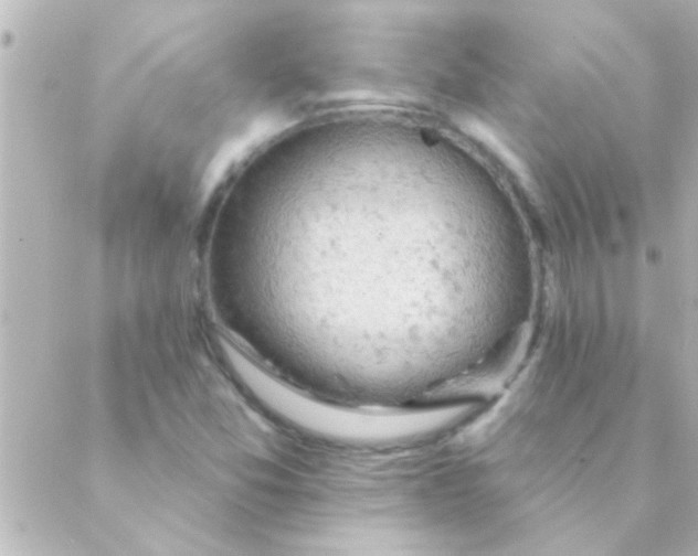 X0000088651357200706151957